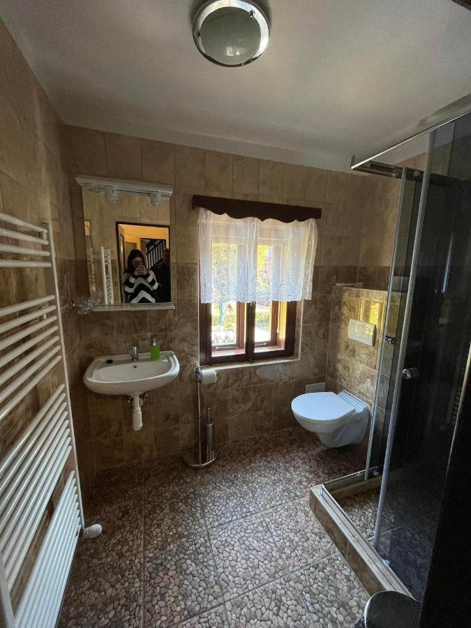 ホテル Penzion Drevak Jetřichovice エクステリア 写真